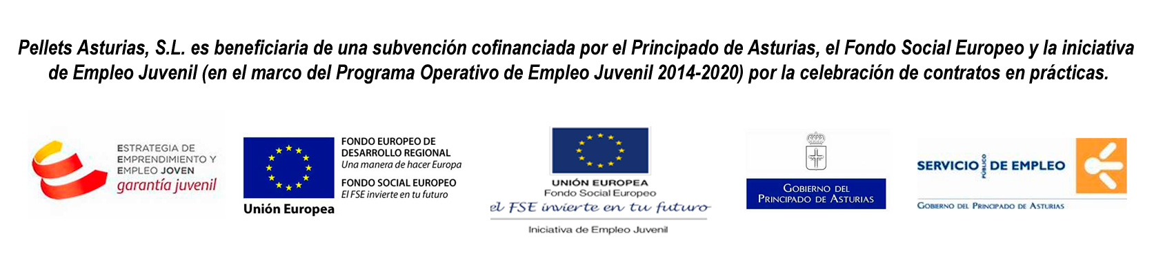 Pellets Asturias, S.L. es beneficiaria de una subvención confinanciada por el Principado de Asturias, el Fondo Social Europeo y la iniciativa de Empleo Juvenil (en el marco del Programa Operativo de Empleo Juvenil 2014-2020) por la celebración de contratos de prácticas.