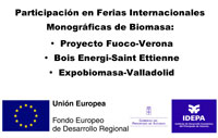 Participación en Ferias Internacionales Monográficas de Biomasa: Proyecto Fuoco-Verona; Bois Energi-Saint Ettienne; Expobiomasa-Valladolid. Participación cofinanciada por la Unión Europea, a través del Fondo Europeo de Desarrollo Regional; y por el Gobierno del Principado de Asturias, a través del IDEPA.